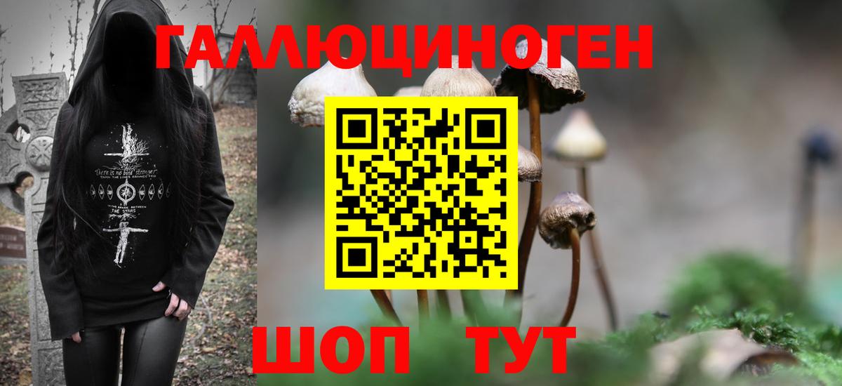 Псилоцибиновые грибы Psilocybe Борисоглебск